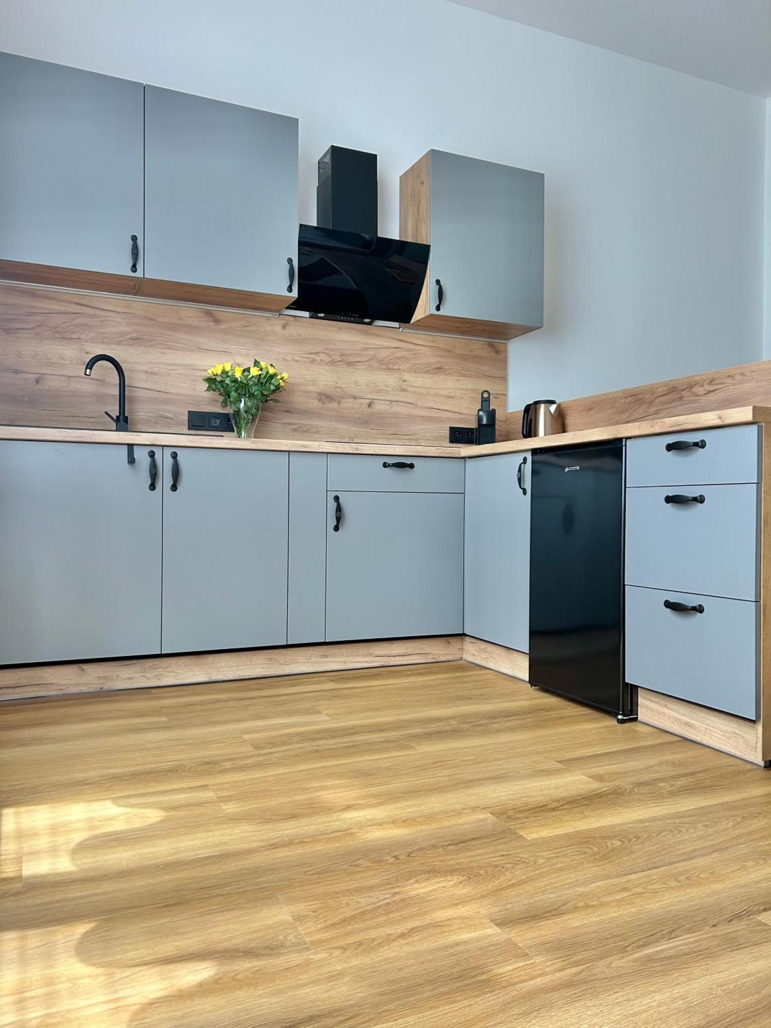 Apartment Dita Κάρλοβι Βάρι Εξωτερικό φωτογραφία
